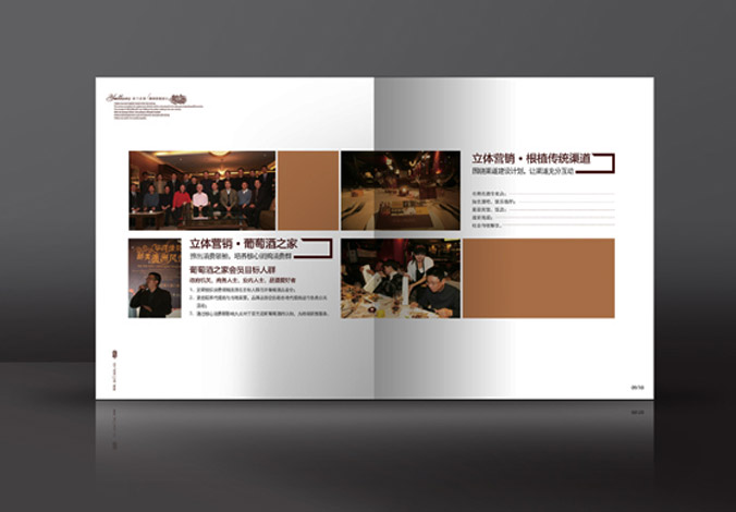 畫冊(cè)設(shè)計(jì)，標(biāo)志設(shè)計(jì)，VI設(shè)計(jì)，交互設(shè)計(jì)，包裝設(shè)計(jì)，空間導(dǎo)示，數(shù)志視頻，廣告創(chuàng)意設(shè)計(jì)，博納設(shè)計(jì)