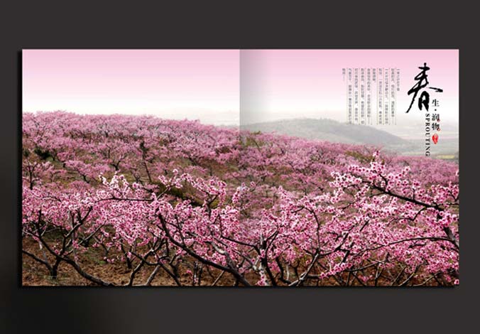 畫冊(cè)設(shè)計(jì)，標(biāo)志設(shè)計(jì)，VI設(shè)計(jì)，交互設(shè)計(jì)，包裝設(shè)計(jì)，空間導(dǎo)示，數(shù)志視頻，廣告創(chuàng)意設(shè)計(jì)，博納設(shè)計(jì)