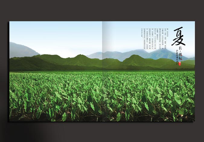畫冊(cè)設(shè)計(jì)，標(biāo)志設(shè)計(jì)，VI設(shè)計(jì)，交互設(shè)計(jì)，包裝設(shè)計(jì)，空間導(dǎo)示，數(shù)志視頻，廣告創(chuàng)意設(shè)計(jì)，博納設(shè)計(jì)