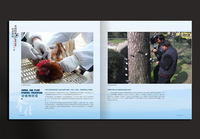 畫冊(cè)設(shè)計(jì)，標(biāo)志設(shè)計(jì)，VI設(shè)計(jì)，交互設(shè)計(jì)，包裝設(shè)計(jì)，空間導(dǎo)示，數(shù)志視頻，廣告創(chuàng)意設(shè)計(jì)，博納設(shè)計(jì)