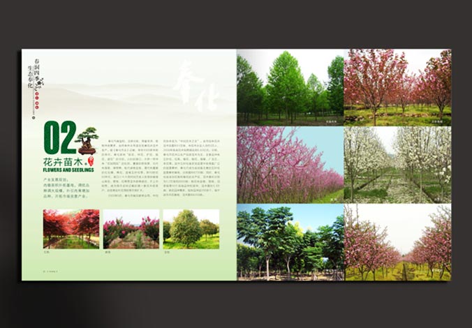 畫冊(cè)設(shè)計(jì)，標(biāo)志設(shè)計(jì)，VI設(shè)計(jì)，交互設(shè)計(jì)，包裝設(shè)計(jì)，空間導(dǎo)示，數(shù)志視頻，廣告創(chuàng)意設(shè)計(jì)，博納設(shè)計(jì)