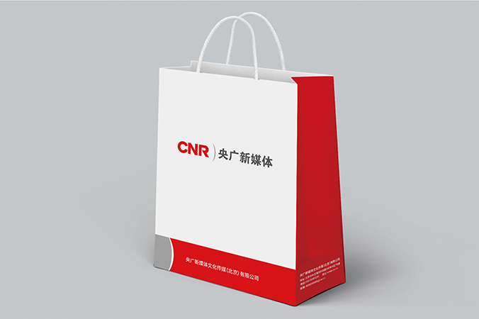 VI設(shè)計  公司VI設(shè)計  品牌設(shè)計  央廣新媒體