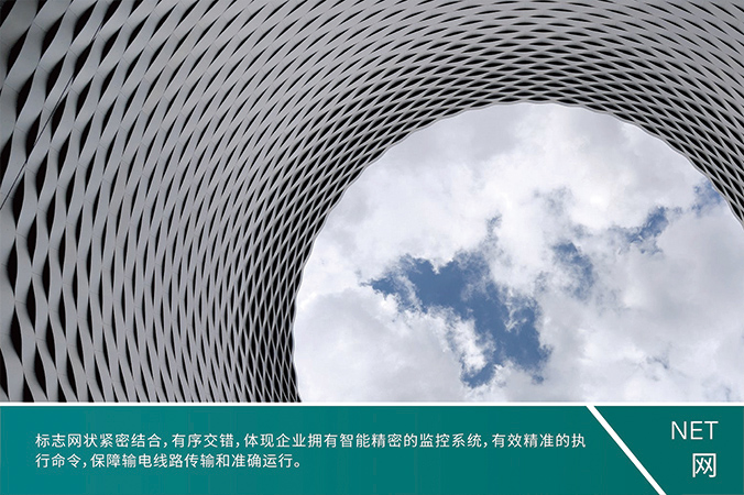 商標設(shè)計，產(chǎn)品商標設(shè)計，logo設(shè)計   中國電科院-風險智控系統(tǒng)