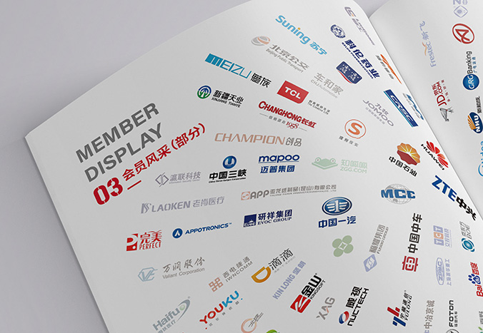 中國專利保護(hù)協(xié)會(huì)  宣傳冊(cè)設(shè)計(jì),產(chǎn)品畫冊(cè)設(shè)計(jì),畫冊(cè)設(shè)計(jì)