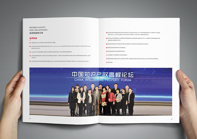 中國專利保護(hù)協(xié)會(huì)  宣傳冊(cè)設(shè)計(jì),產(chǎn)品畫冊(cè)設(shè)計(jì),畫冊(cè)設(shè)計(jì)